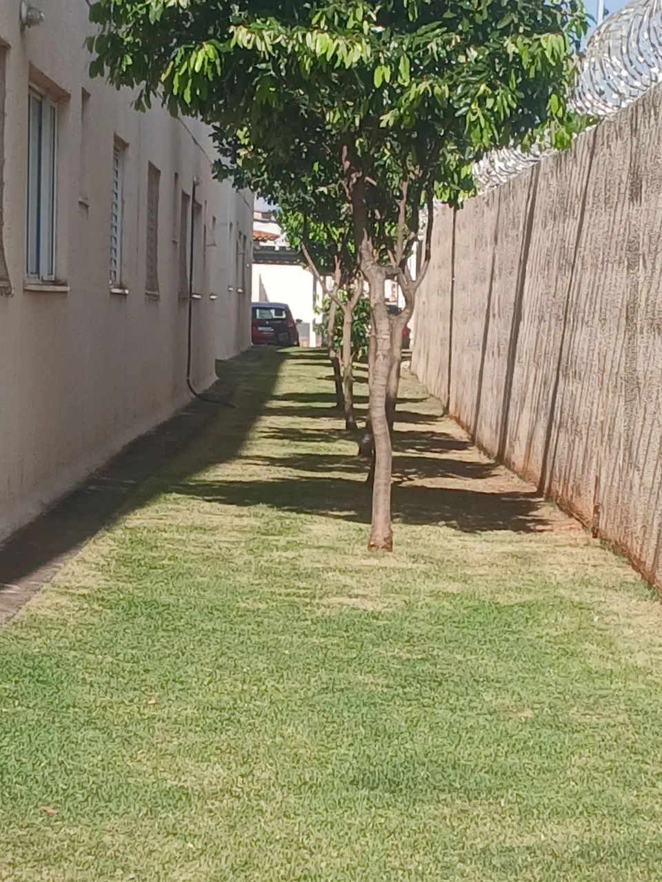 Jardinagem e limpeza de lotes  - Foto 2