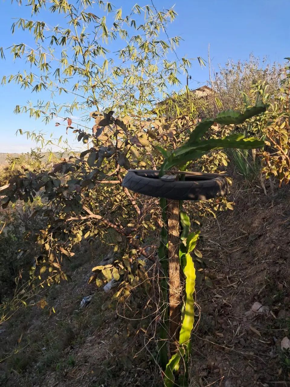 Setor de chácaras "Bela vista" - Foto 4