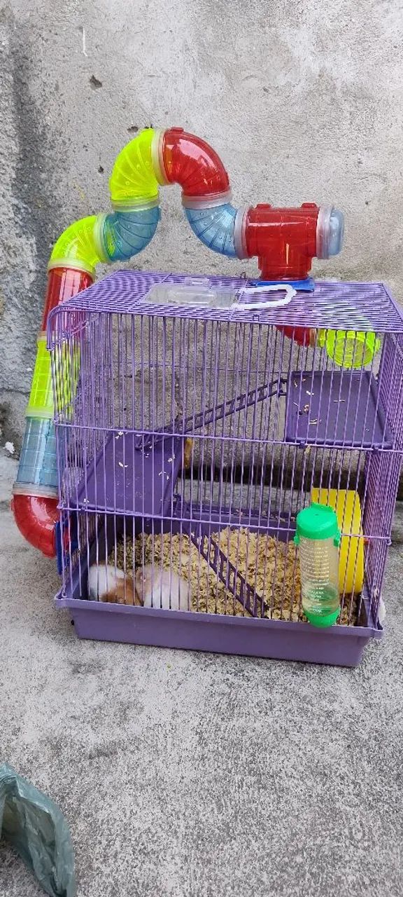 Vendo gaiola para hamster de 3 andares com, comedouro, bebedouro e roda de ecercicios - Foto 5