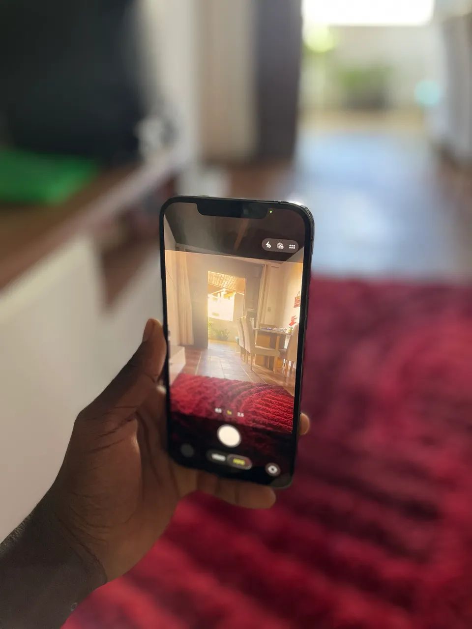 12 Pro Max - Foto 5