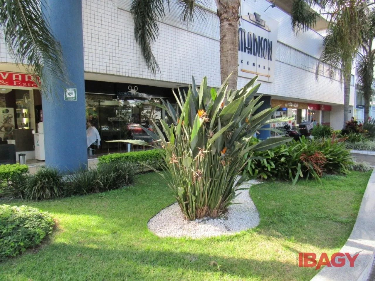 Oportunidade! Salas/Conjuntos em Trindade - Florianópolis - Foto 5