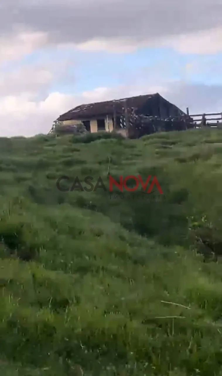 Fazenda com 135 tarefas em Malhador - Foto 3