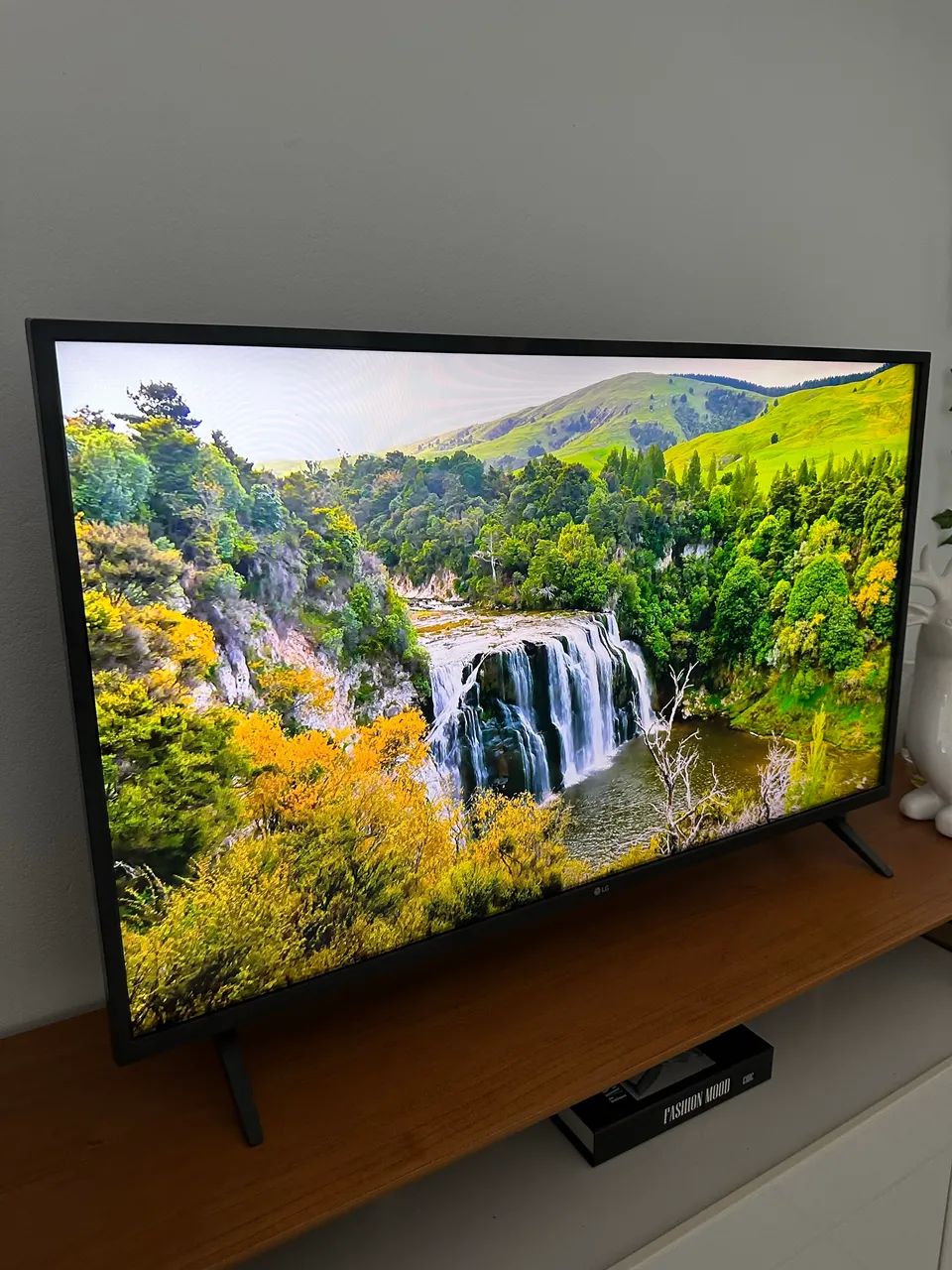 TV 43 polegadas LG 43LR6700PSA seminova - Foto 3