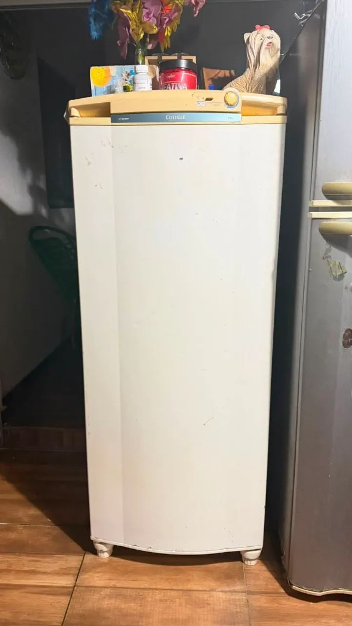 Freezer vertical 