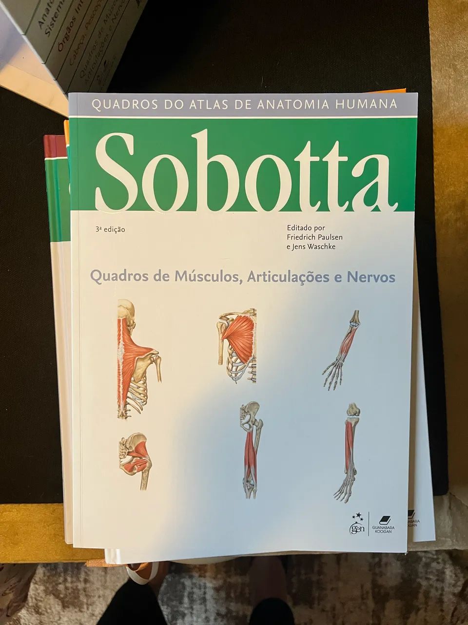 Coleção Anatomia Sobotta 24 edição  - Foto 3