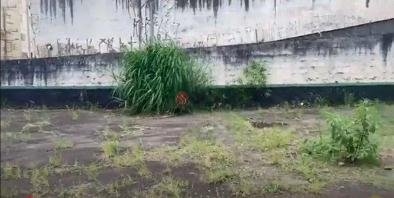 Terreno no Jabaquara, 781m² com Duplo Acesso - Foto 2
