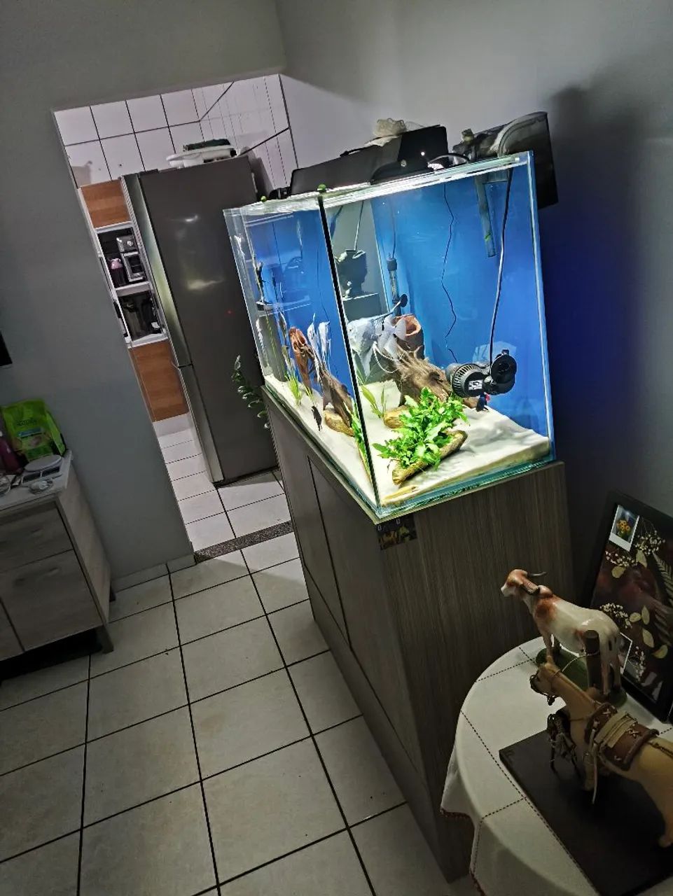 Aquário com Móvel  - Foto 5