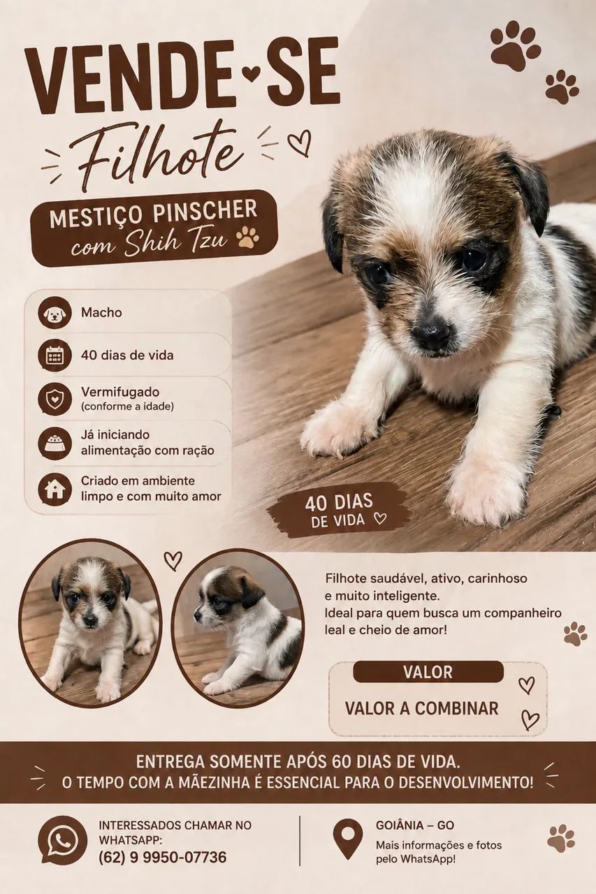 Cachorro  - Foto 2