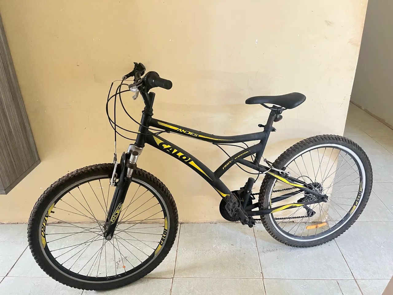 Bicicleta 