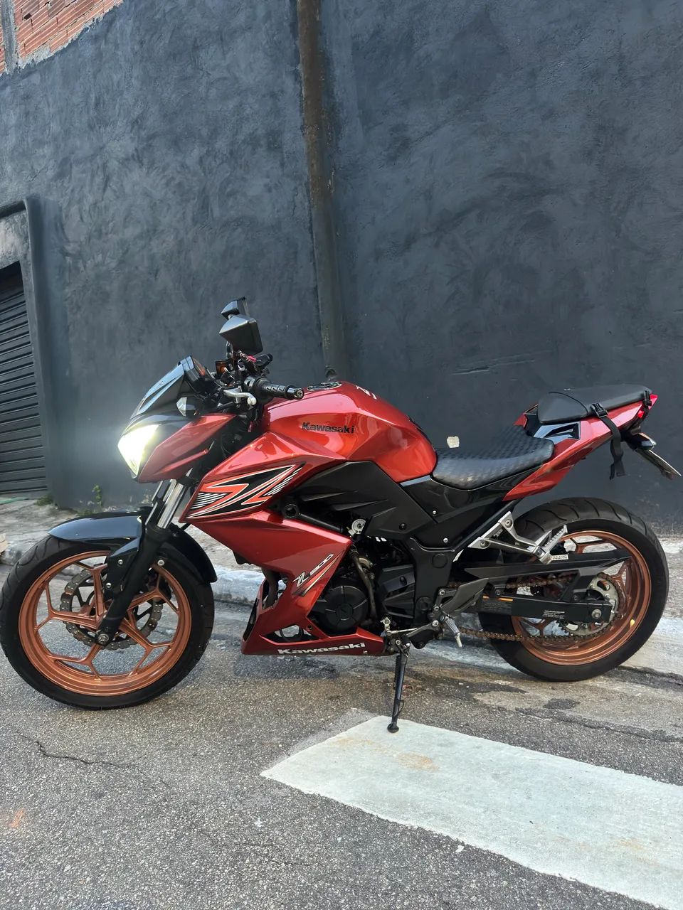 z300 - Foto 5
