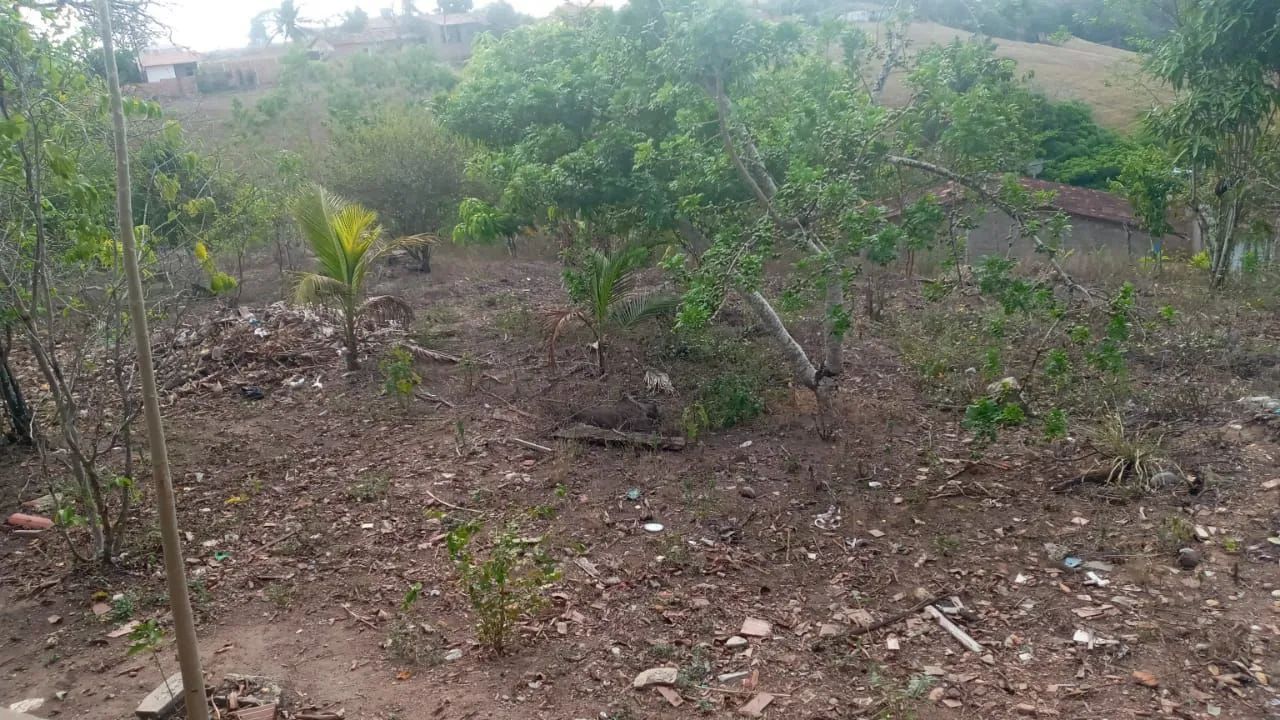 Sítio á venda - Foto 5