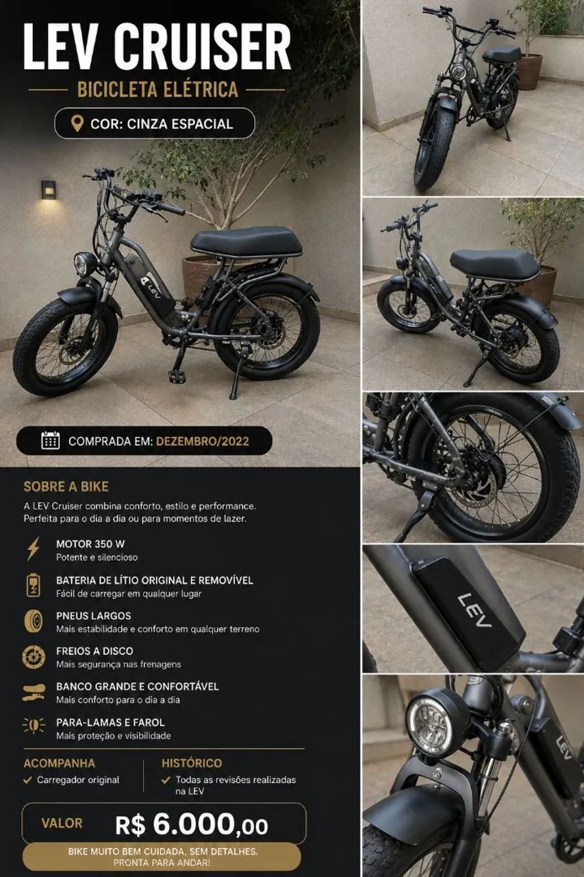 Bike lev 