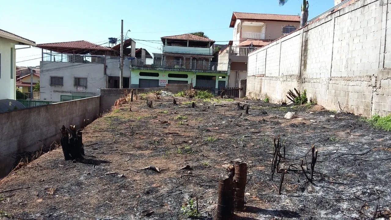 LOTE | ARVOREDO | 372m² | MURADO