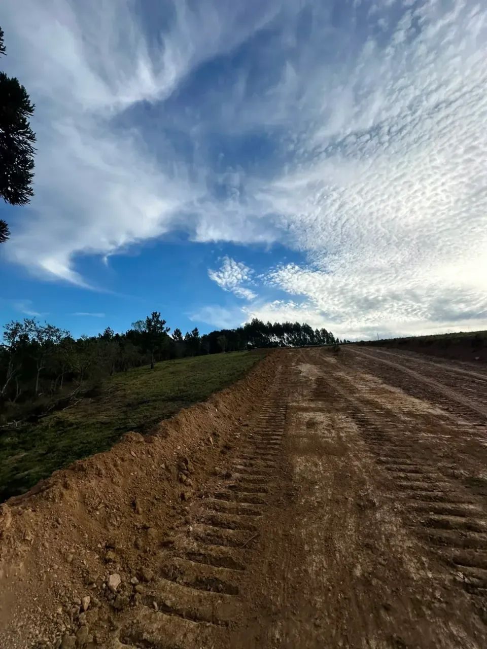 Chácara dos sonhos: 1000m² com nascente natural - Foto 5