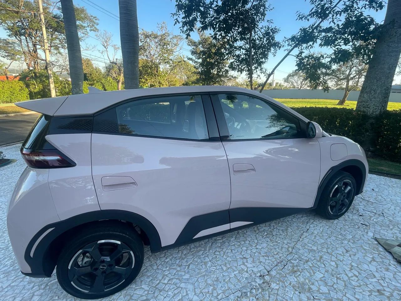 BYD Dolphin Mini (Elétrico) 2025