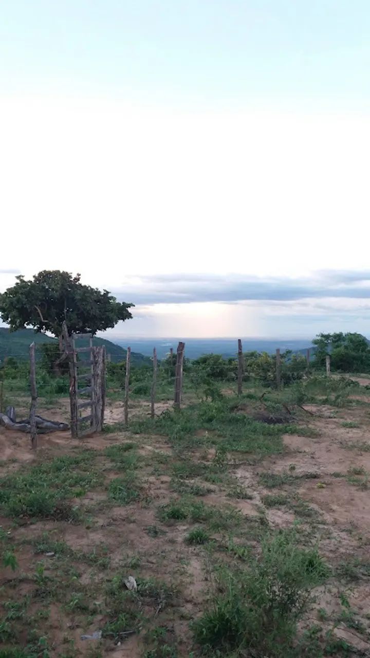 Terreno Serra de Martins  - Foto 4