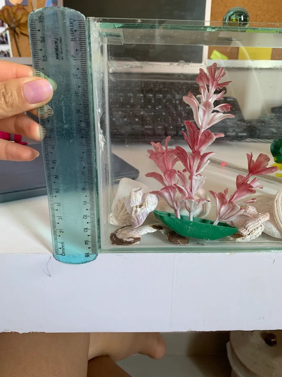 Aquário para peixe Beta  - Foto 3