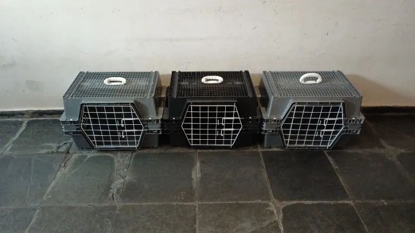 Caixa de Transporte para Animais. Super Resistente. - Foto 5