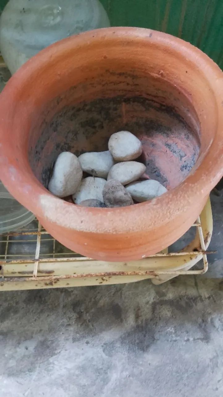 Vaso de barro planta - Foto 2