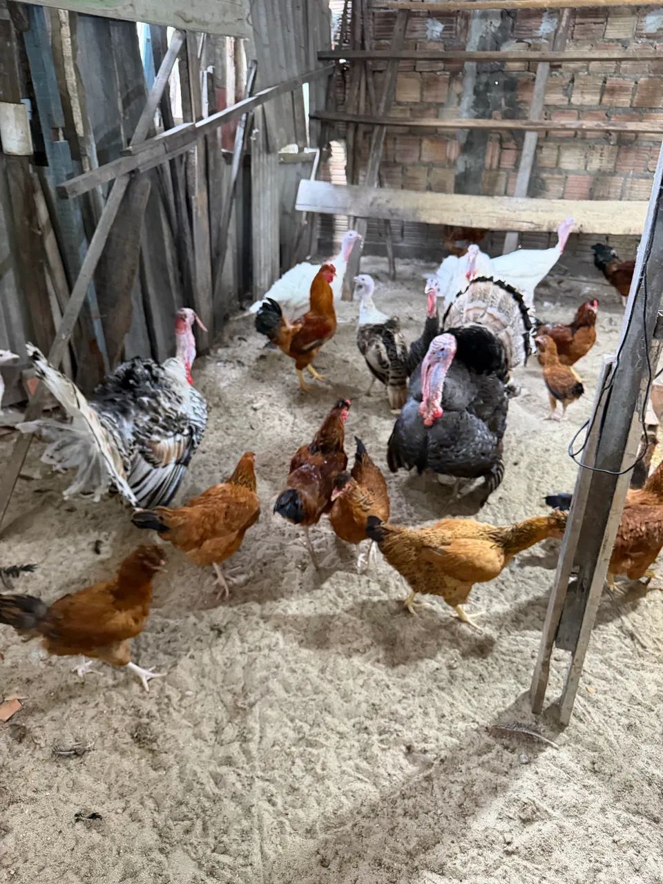 VENDE SE PERU