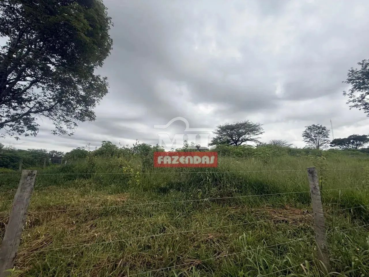 Área comercial 20.411M² - Br 153 Anápolis/Goiânia - Go - Foto 3