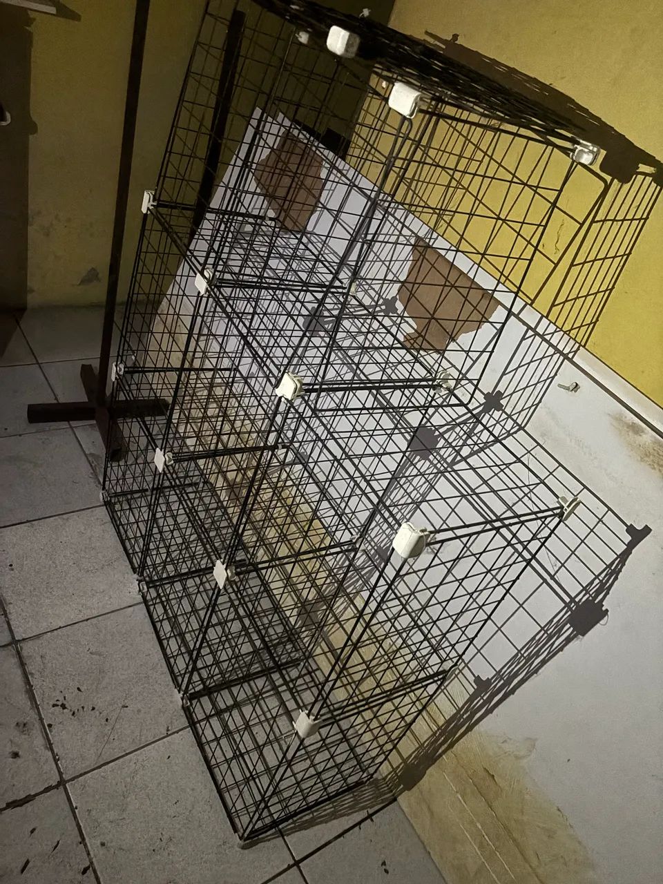 Acessórios de Loja - Foto 3