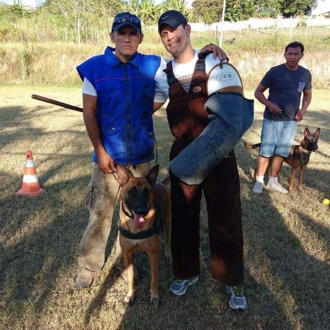 Adestramento de Cães  - Foto 3