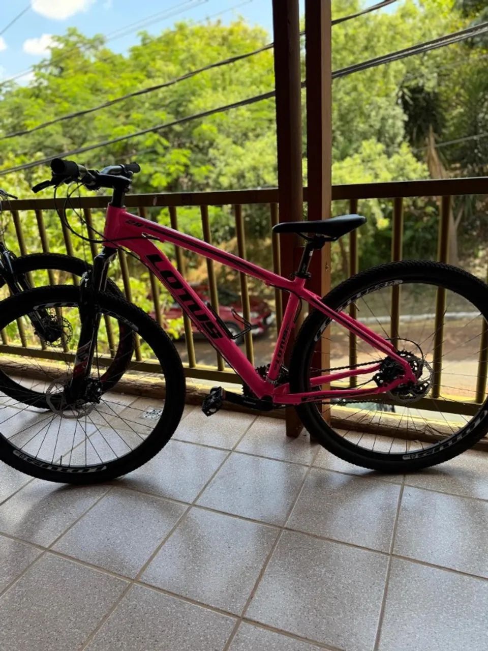 Bicicleta  aro 29 lótus 