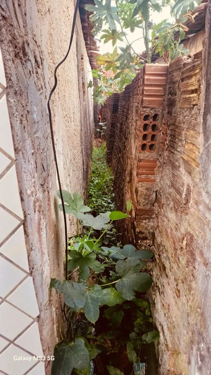 Vendo casa no conjunto Tancredo Neves - Foto 3