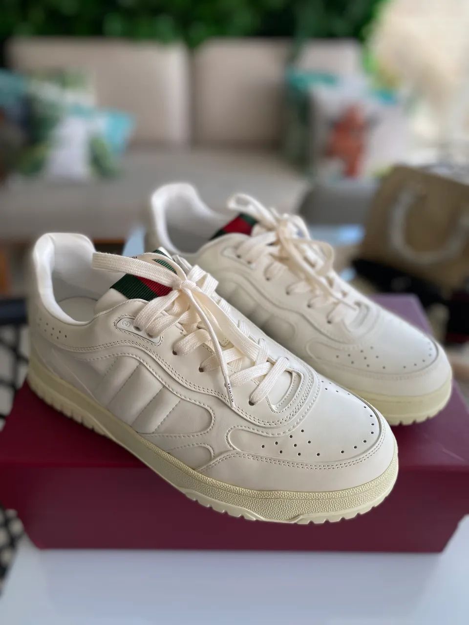 Tênis Gucci re-web