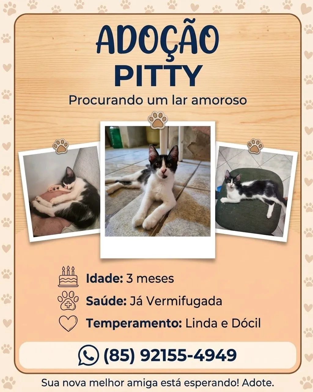 Adoção da Pitty