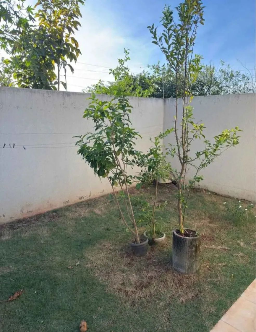 AC Casa a venda - Foto 3