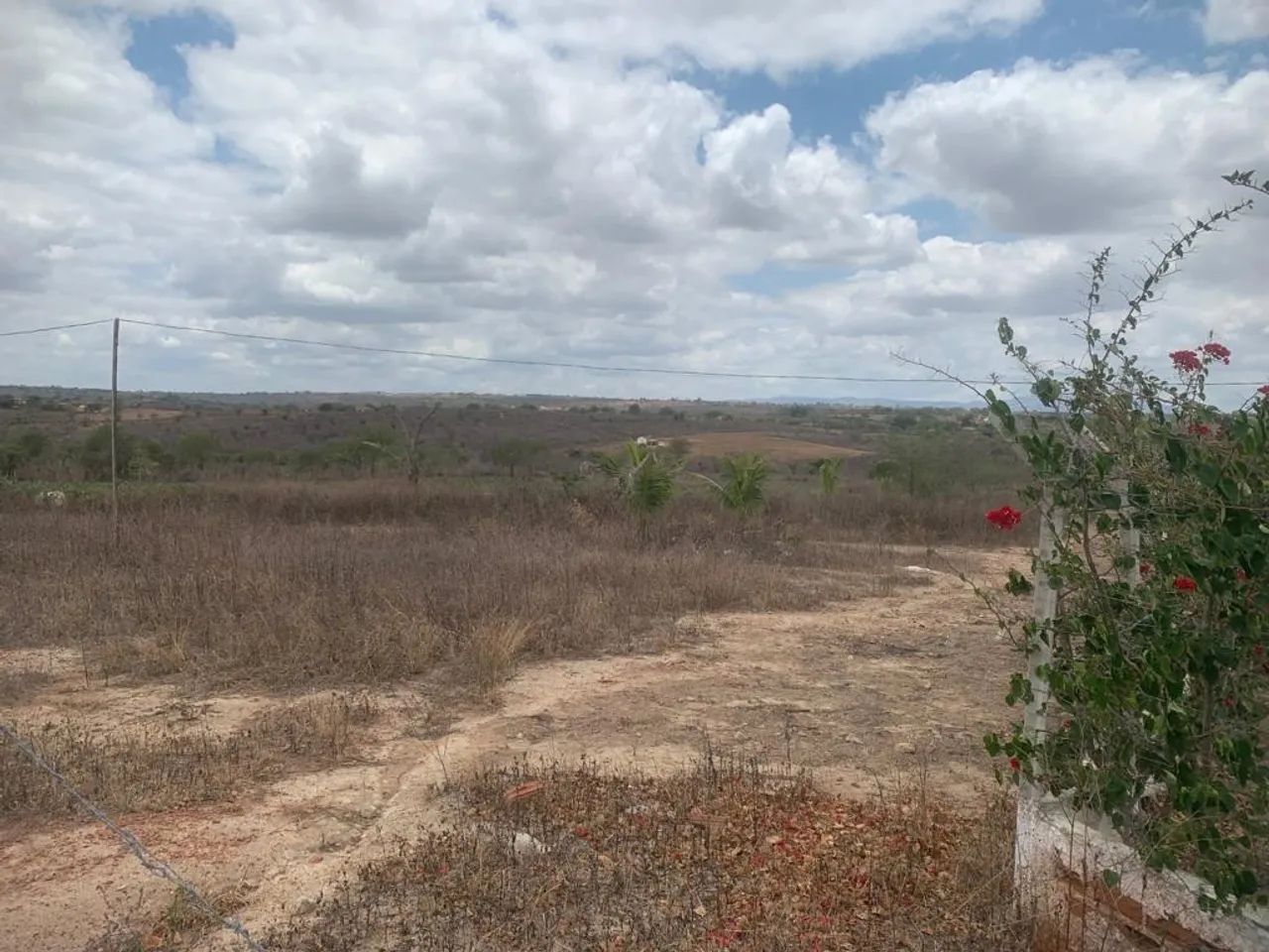 Vendo ou troco chácara  - Foto 3