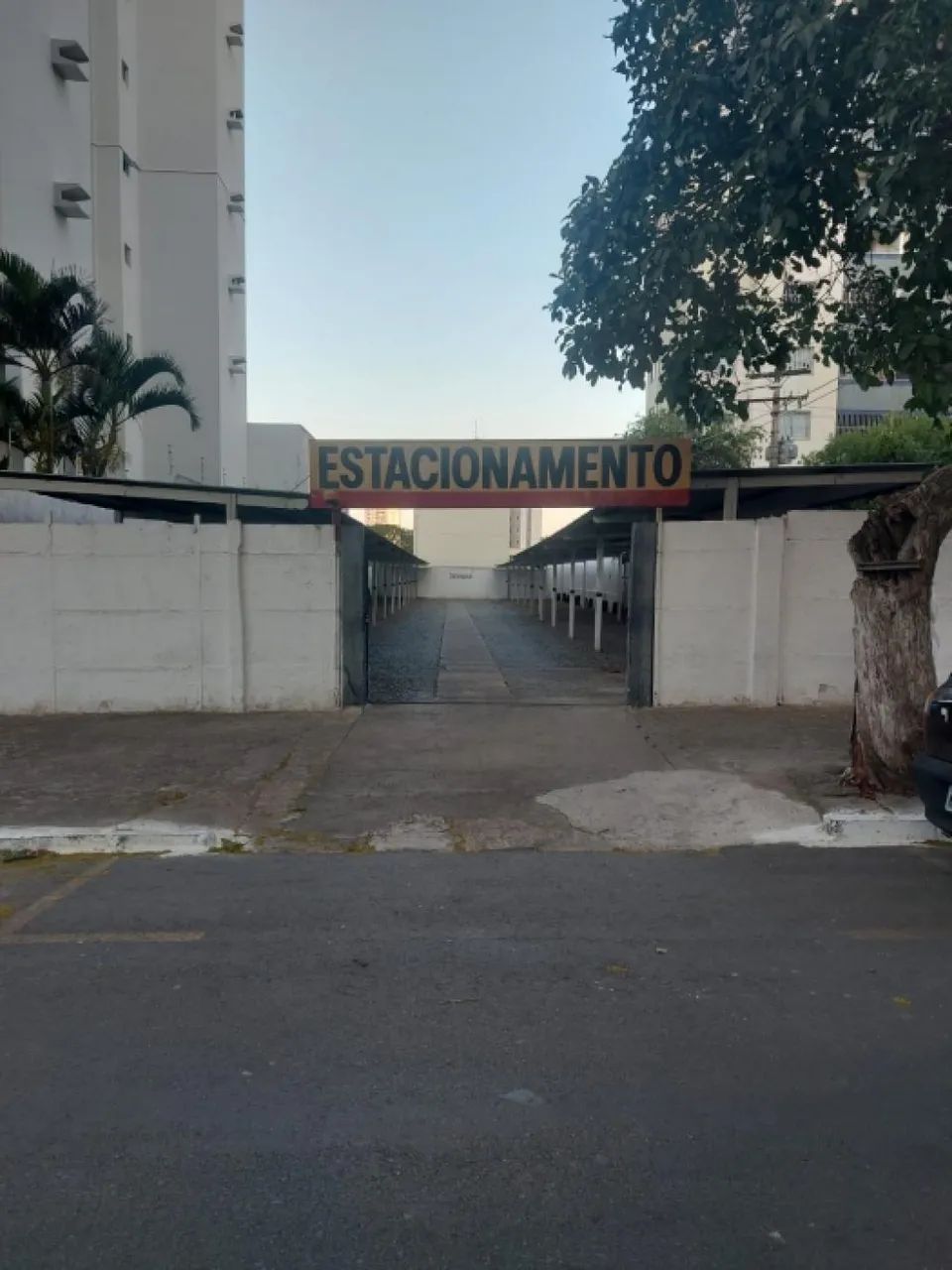 Lote - Rua 20 - Centro