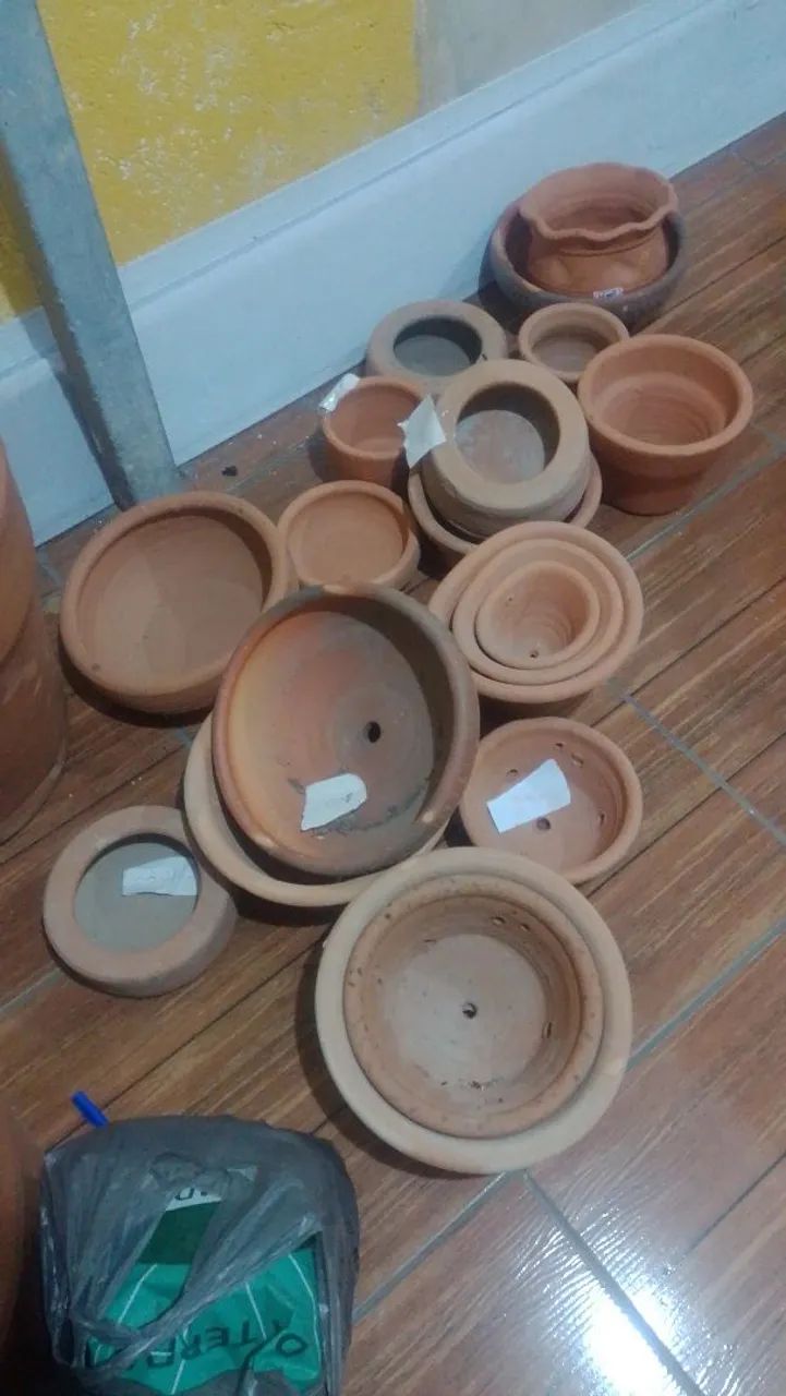 Vasos de planta