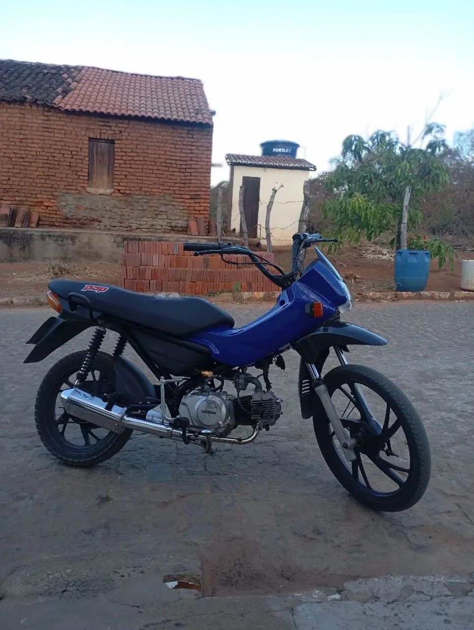 Pop 100 em dias 