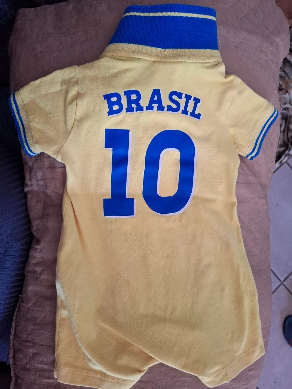 Bory do Brasil - Foto 2