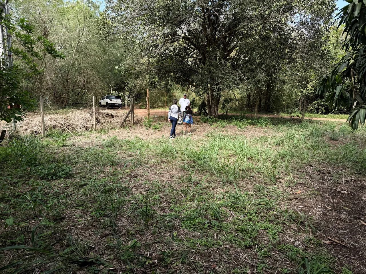 Pesqueiro próximo ao rio Miranda  - Foto 2