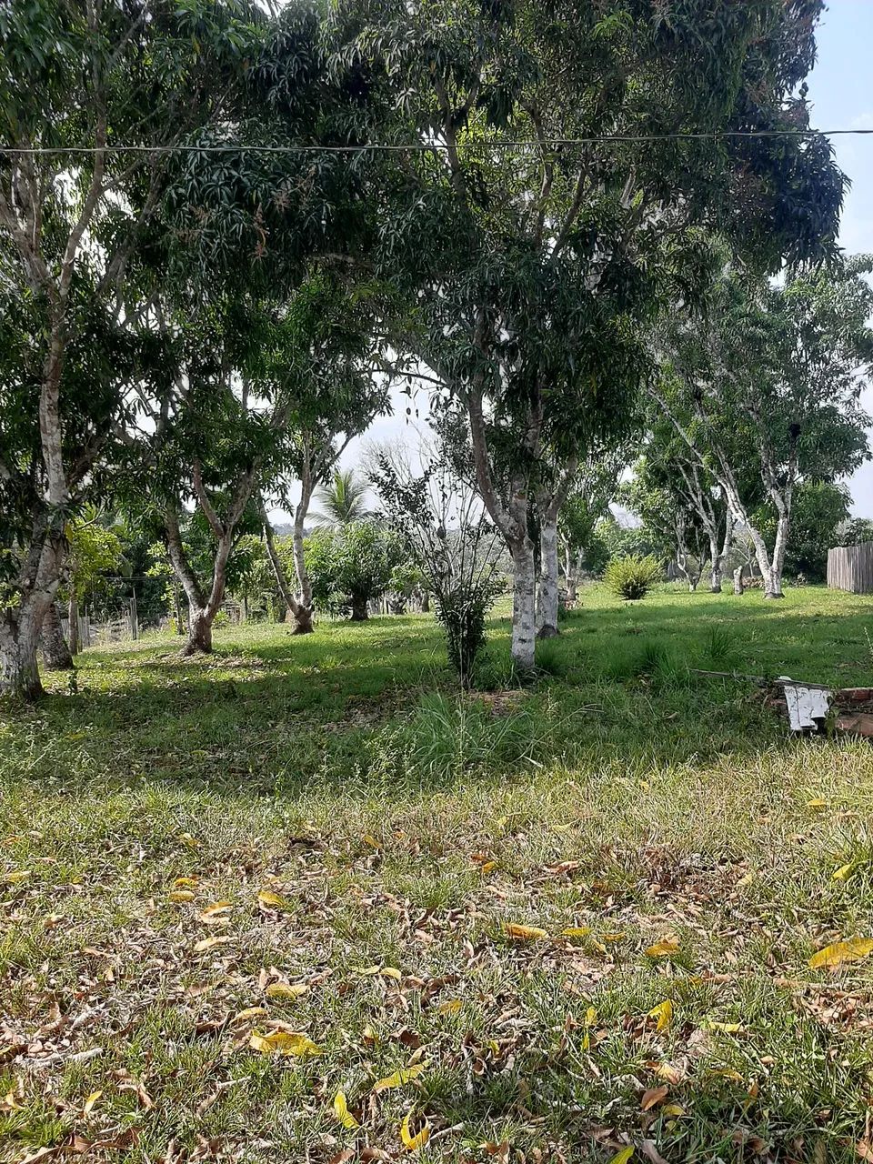 Vendo chácara no centro do bujari  - Foto 2