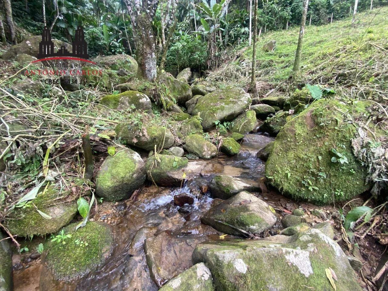 Sítio com 23.000m² à venda em Antônio Carlos/SC - Foto 3