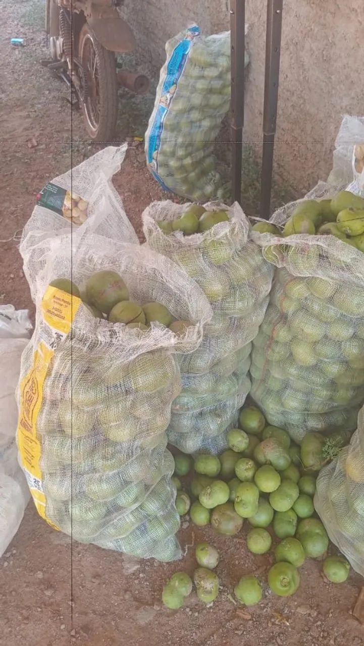 Compra e venda de pequi