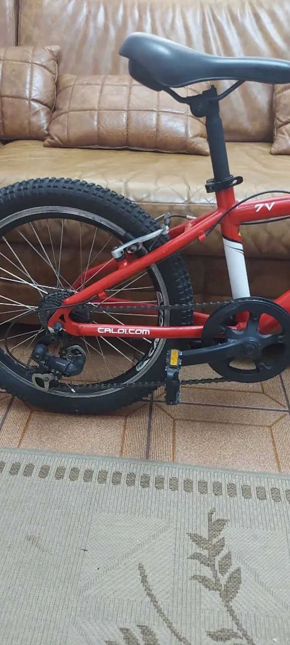 BICICLETA CALOI  - Foto 3