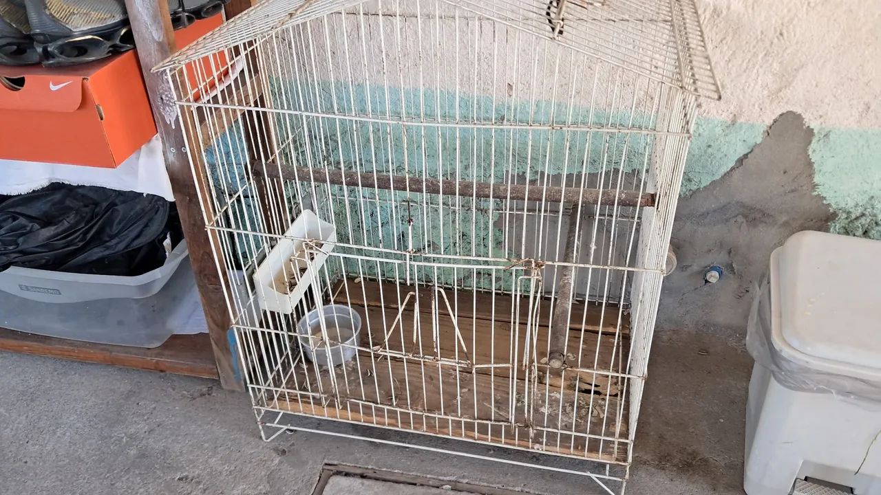 Gaiola