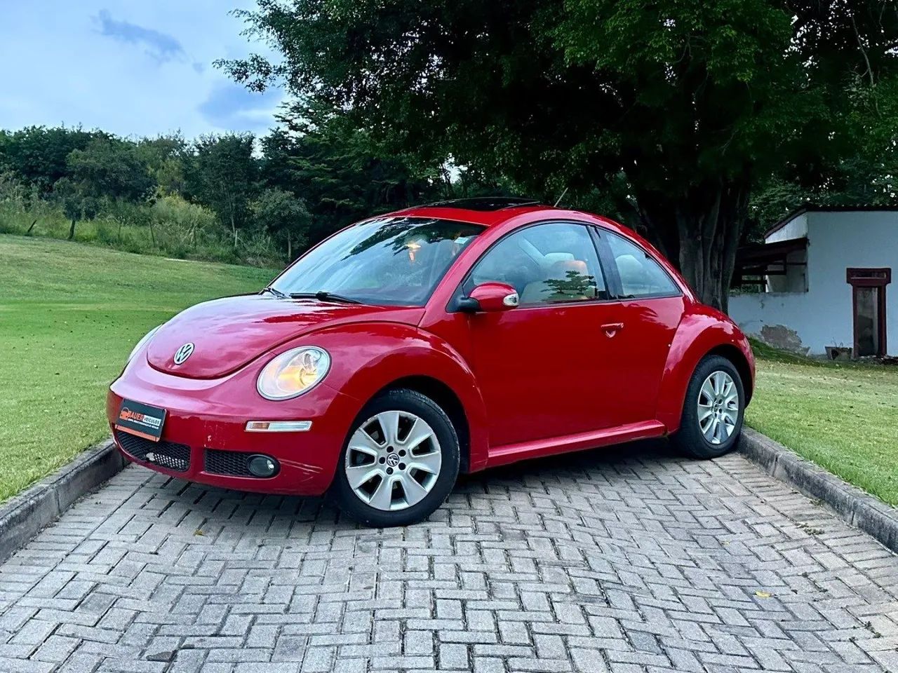 Volkswagen New Beetle 2010