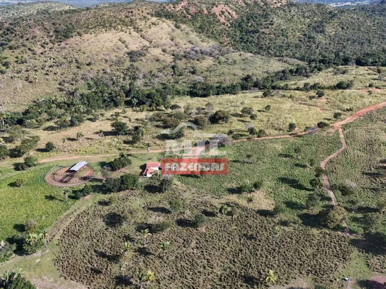 Fazenda 56 Alqueires (271 Hectares) Gurupi - To - Foto 3