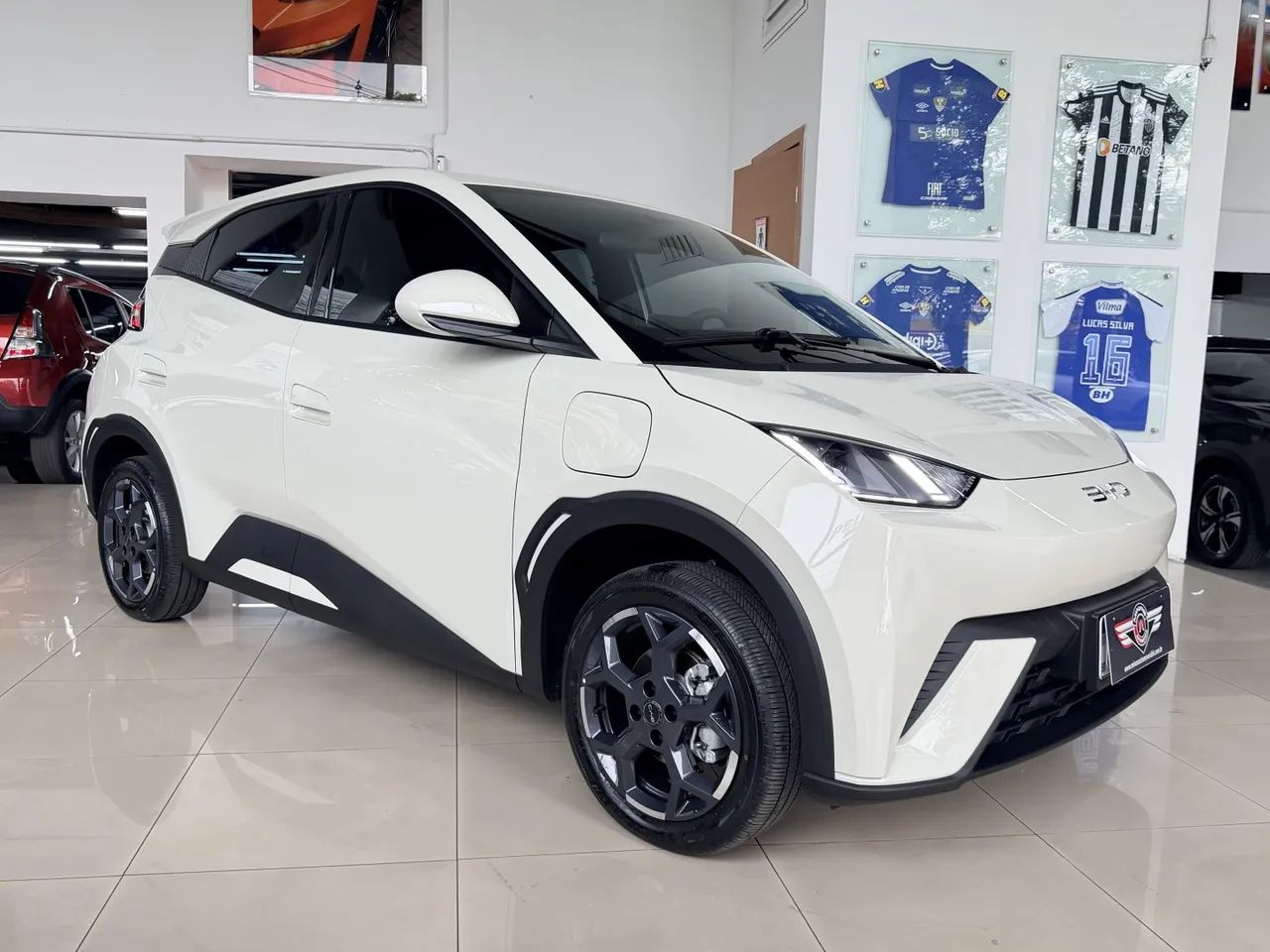 BYD Dolphin Mini (Elétrico) 2027 - Foto 4