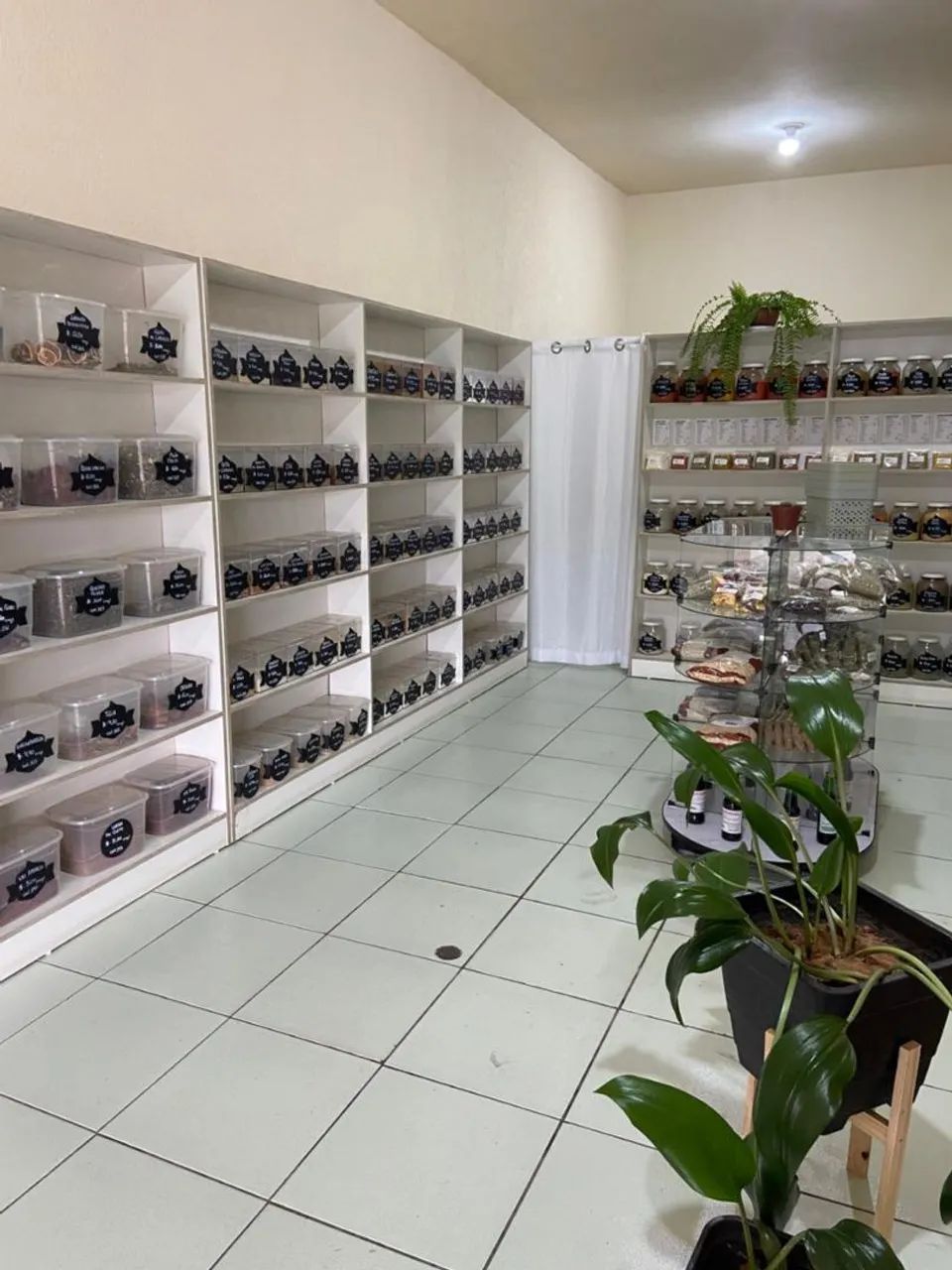 Loja de produtos naturais  - Foto 4