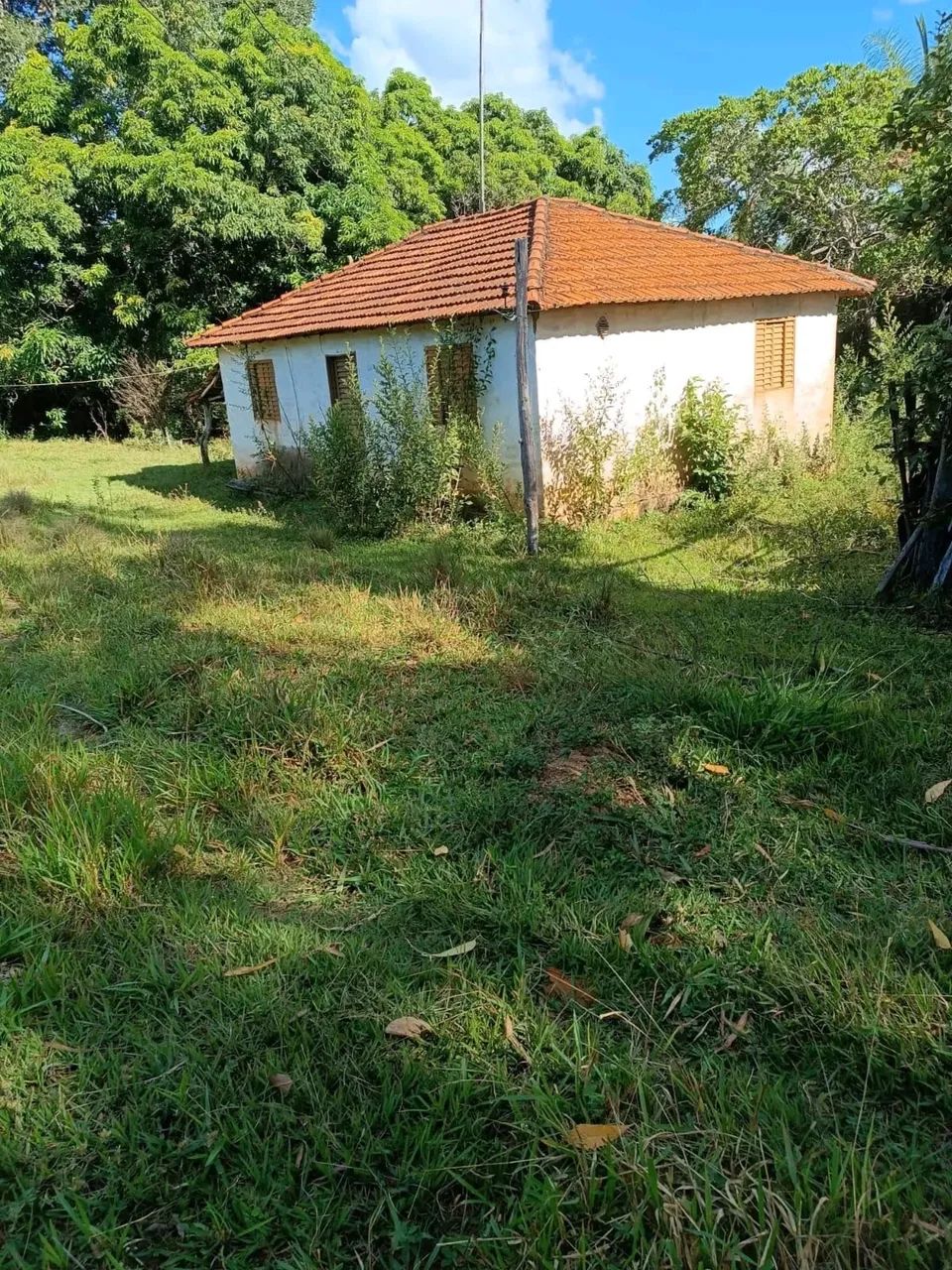 Fazenda barata ? presidente Olegário  - Foto 5