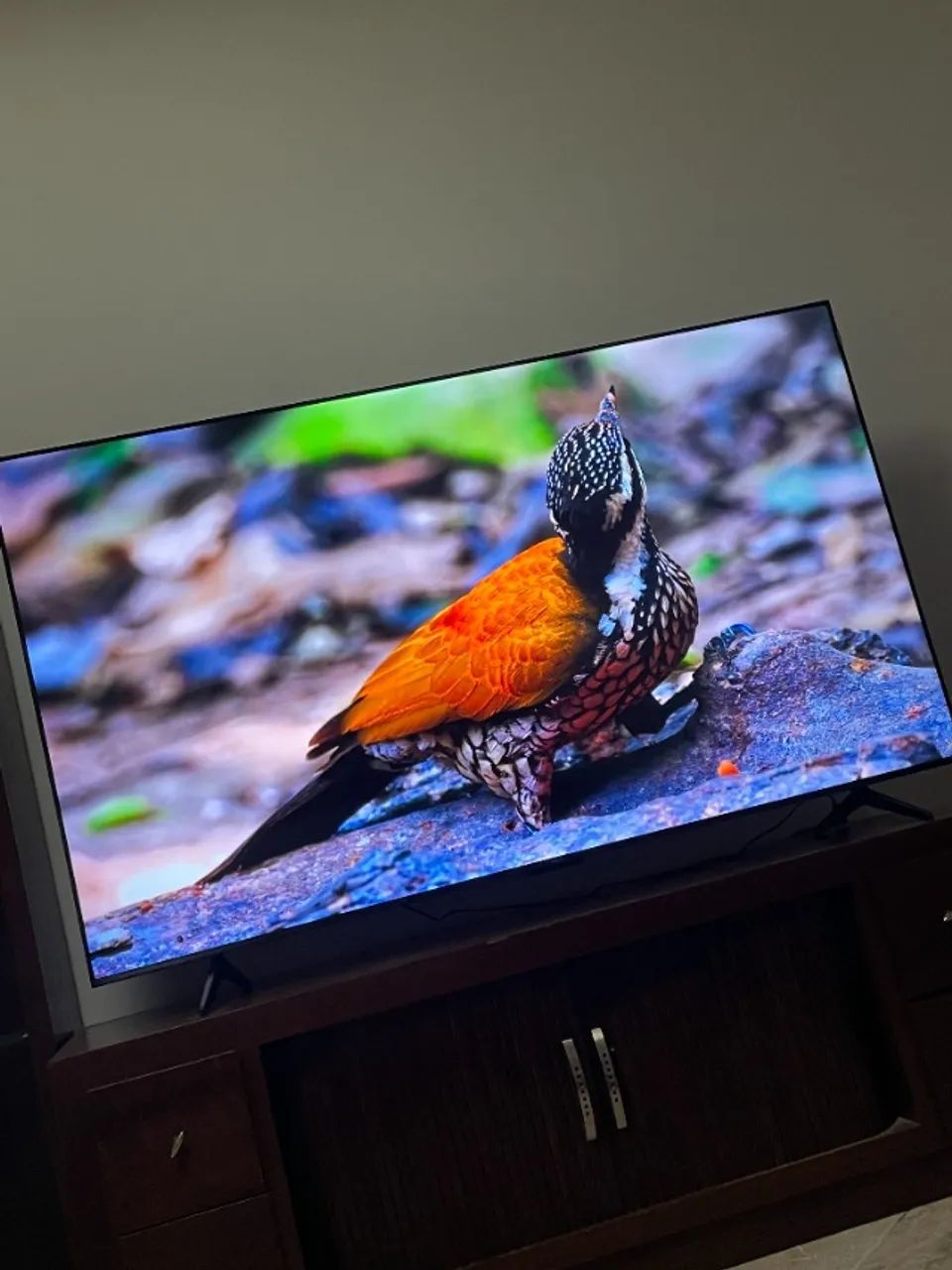 Smart TV TCL 75 Polegadas QLED 4K P7K WiFi Bluetooth Google TV HDR10+ Dolby Atmos Dolby Vi - Foto 5