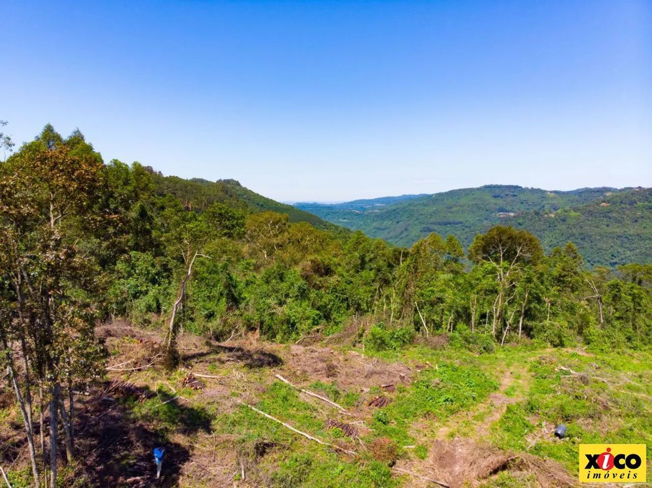 Sítio / Chácara para Venda em Nova Petrópolis, São Jacó - Foto 12